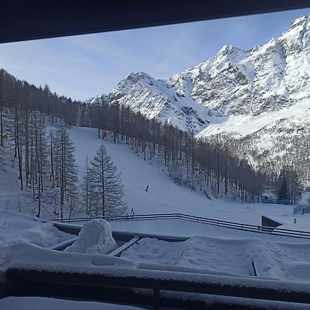 Orange Fox Cervinia Apartment Vda Vacanze In Vetta Cir 0185 Breuil-Cervinia Eksteriør bilde